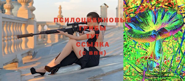 таблы Бородино
