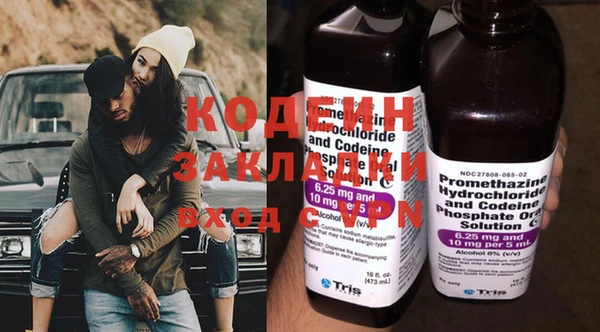прущие грибы Бугульма