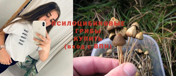 таблы Бородино