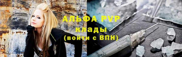 прущие грибы Бугульма