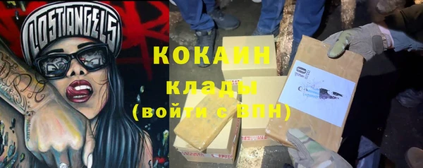 шишки Семёнов