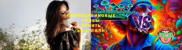 таблы Бородино