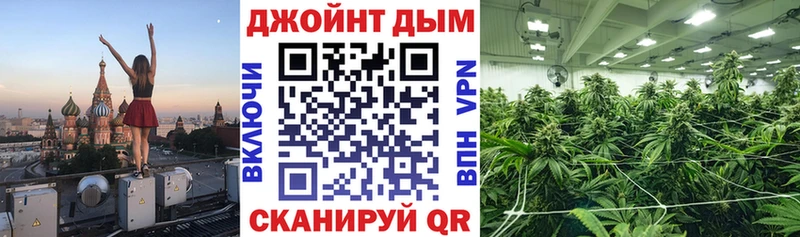 Шишки марихуана план  закладка  Новохопёрск 